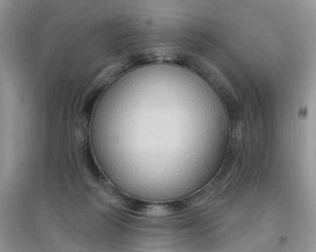 X0000097650218200803142117