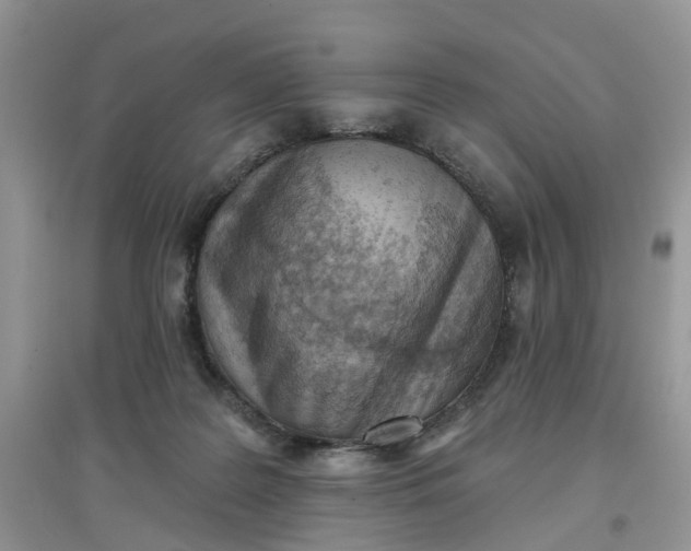 X0000097650219200803142117