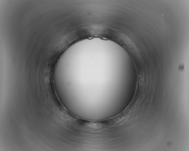 X0000097650221200803142117