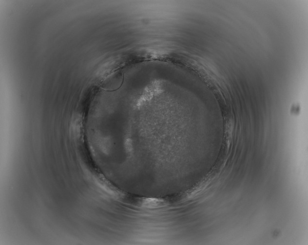 X0000097650222200803142117