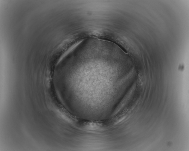 X0000097650223200803142117