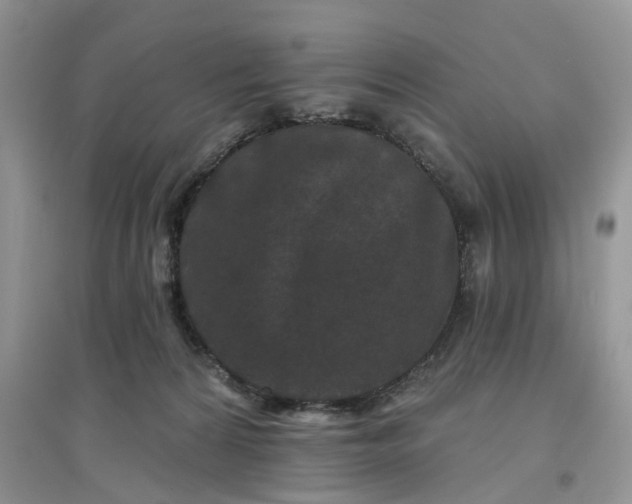 X0000097650224200803142117