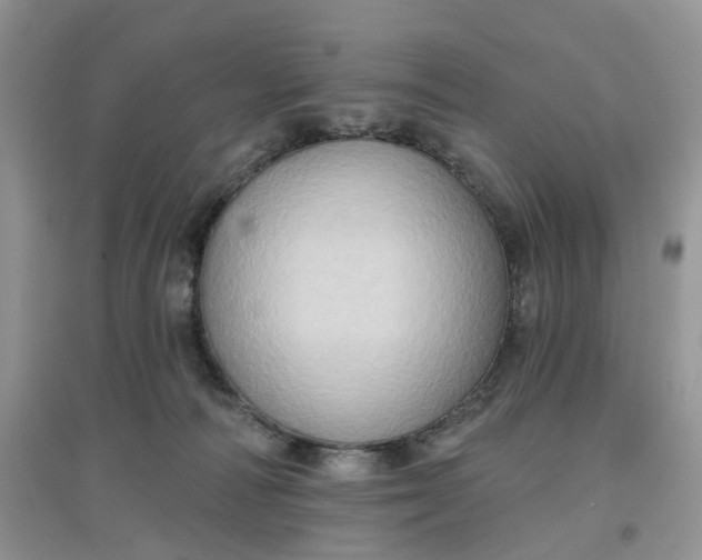 X0000097650226200803142117