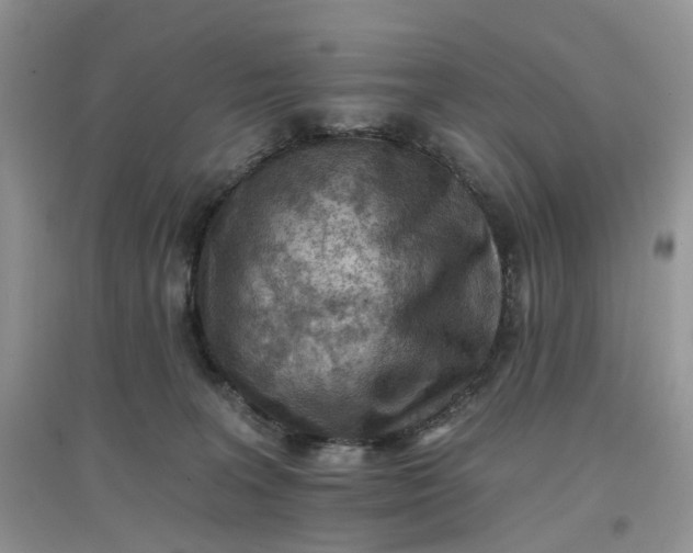 X0000097650227200803142117