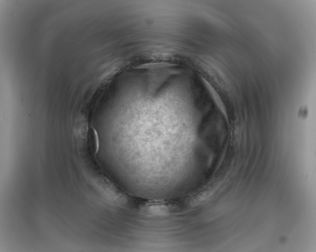 X0000097650228200803142117