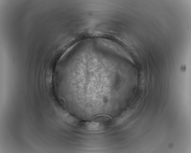 X0000097650230200803142117