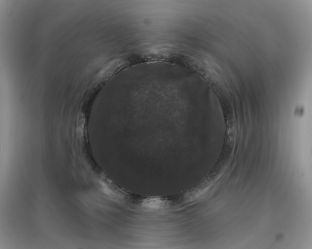 X0000097650231200803142117