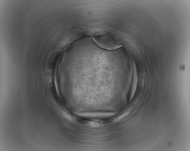 X0000097650232200803142117