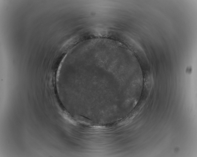 X0000097650233200803142117