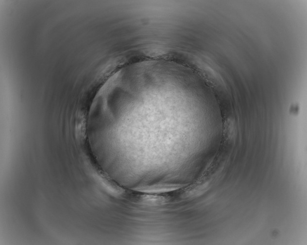 X0000097650234200803142117