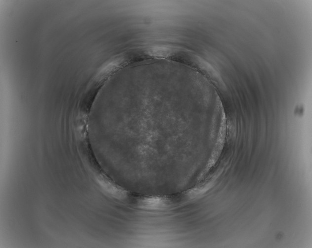 X0000097650237200803142117