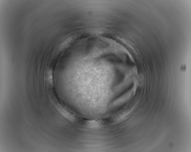 X0000097650238200803142117