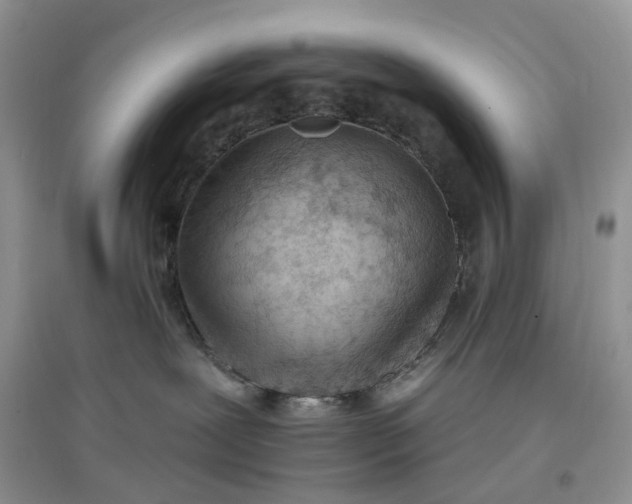 X0000097650239200803142117