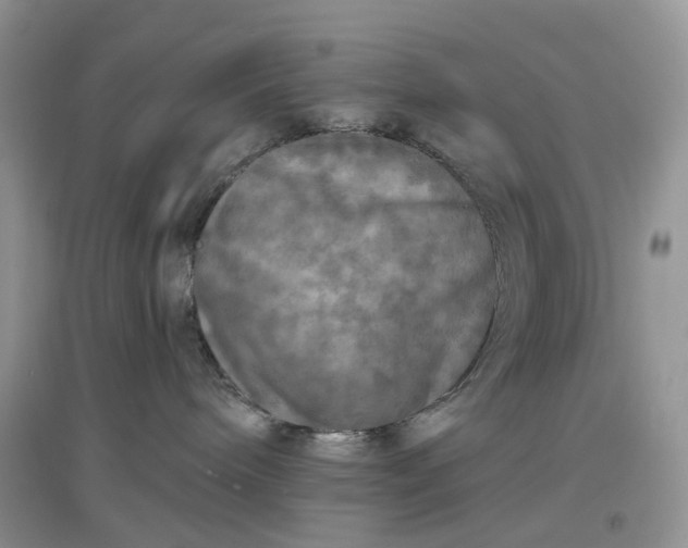 X0000097650240200803142117