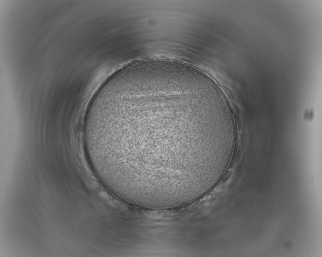 X0000097650241200803142116