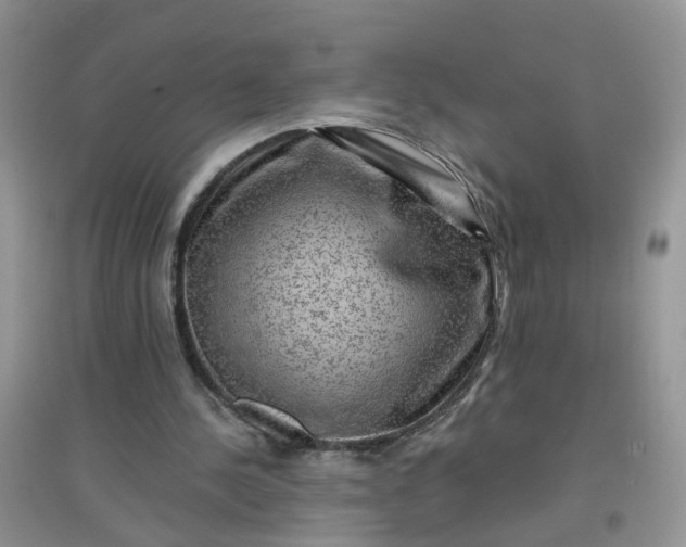 X0000097650244200803142116