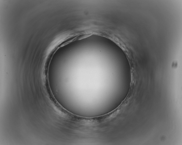 X0000097650245200803142116