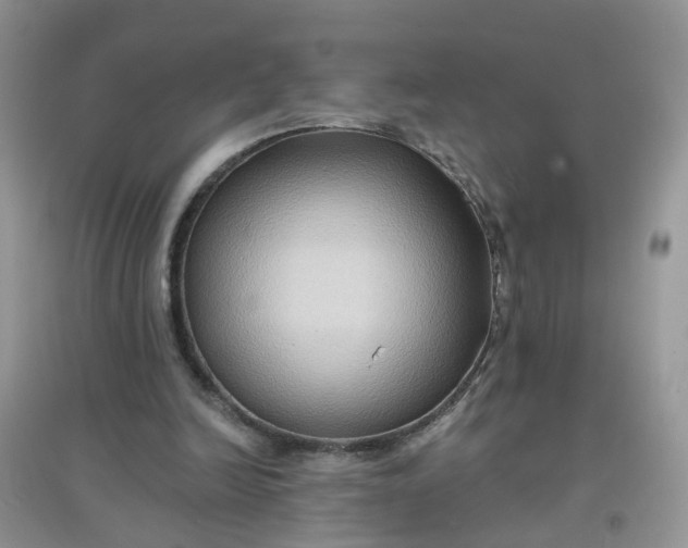 X0000097650246200803142116