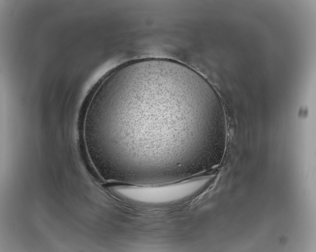 X0000097650248200803142116