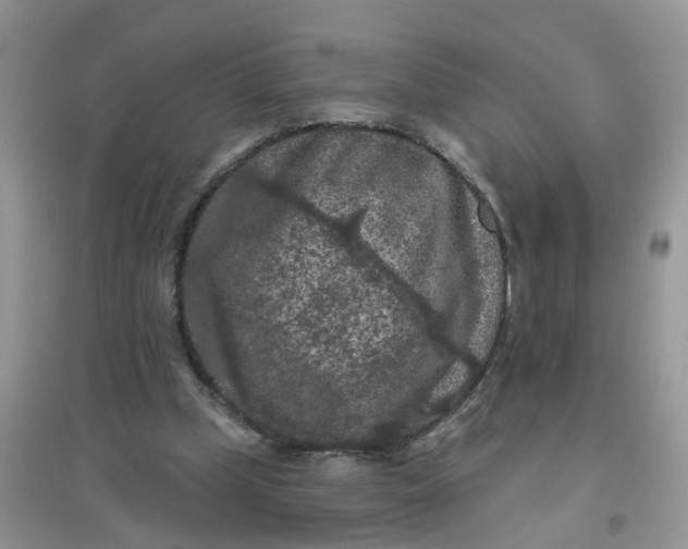 X0000097650249200803142116