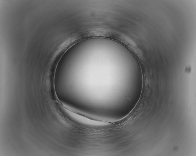 X0000097650250200803142116