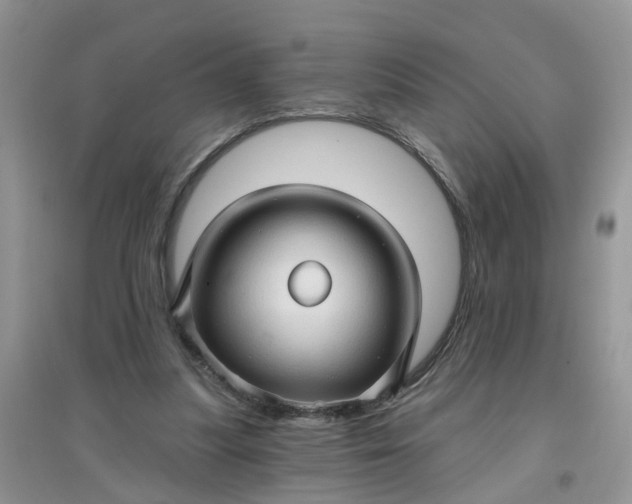 X0000097650251200803142116