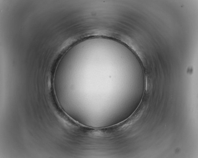 X0000097650253200803142116