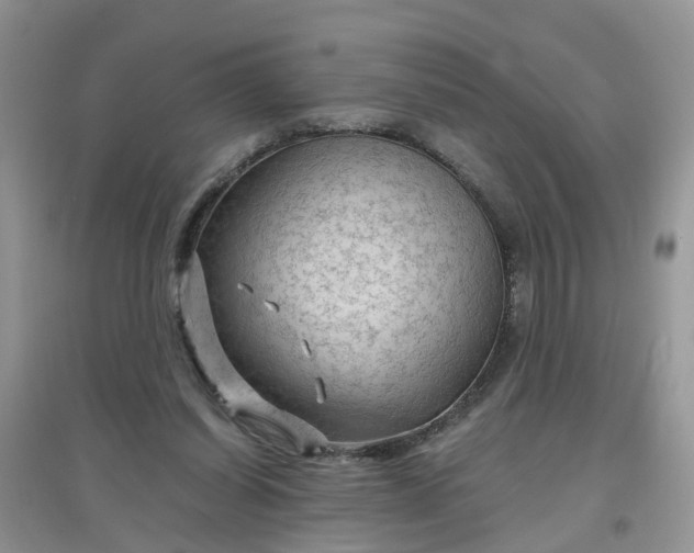 X0000097650254200803142116