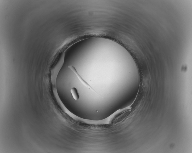 X0000097650256200803142116