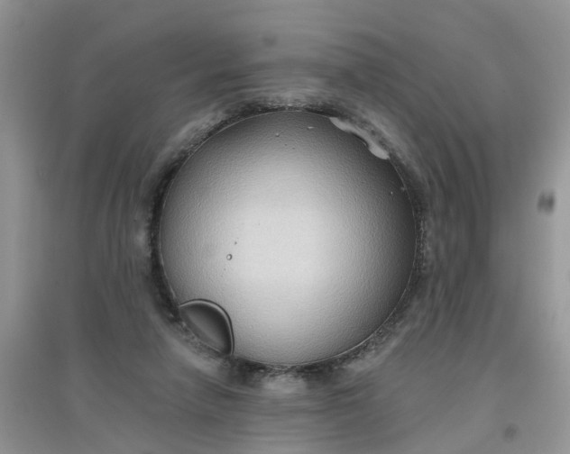 X0000097650258200803142116