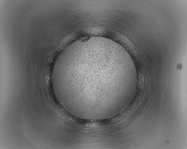 X0000097650259200803142116