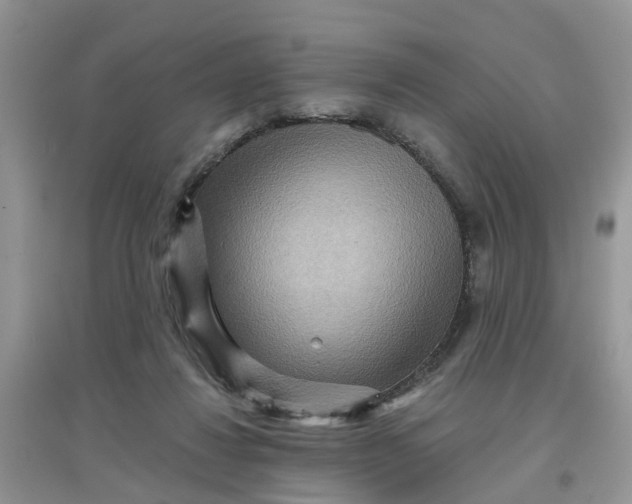 X0000097650260200803142116