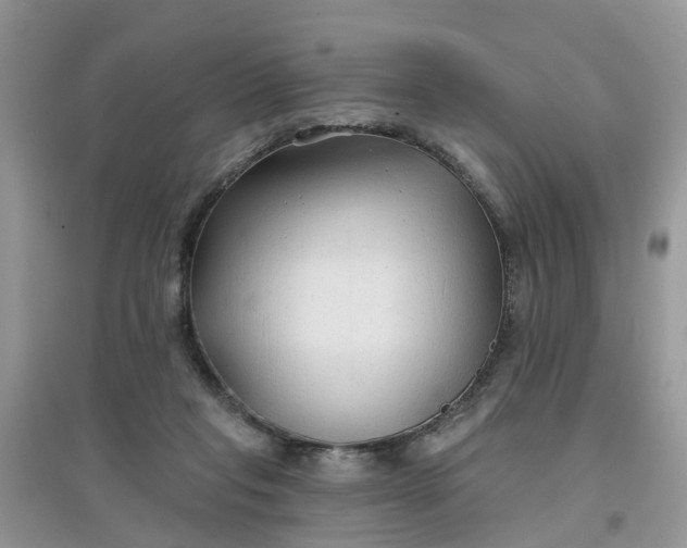 X0000097650261200803142116