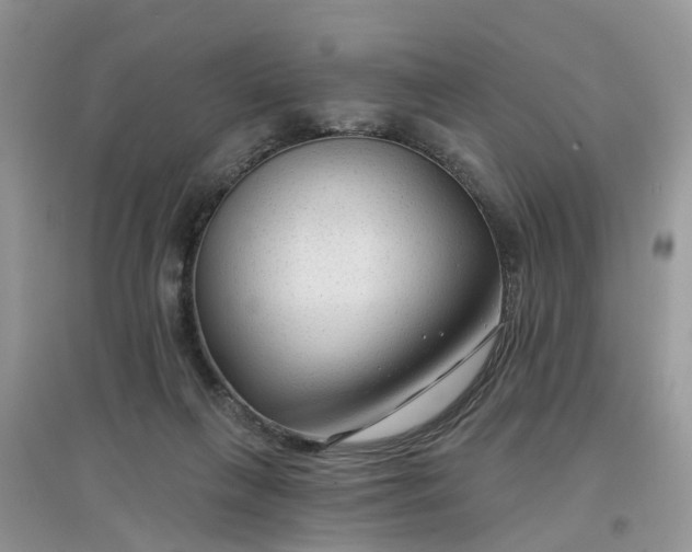 X0000097650263200803142116