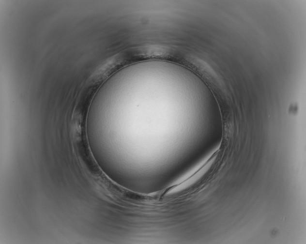 X0000097650264200803142116