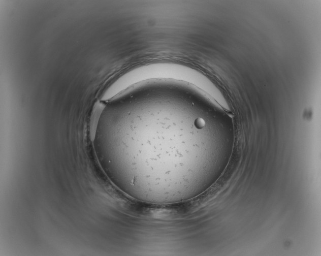 X0000097650268200803142116