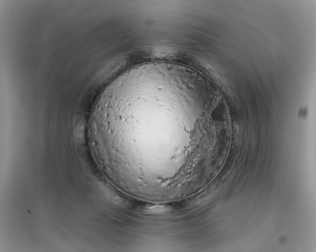 X0000097650269200803142116