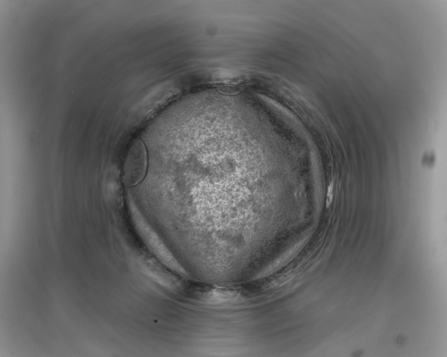 X0000097650270200803142116