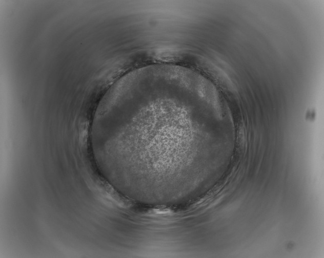 X0000097650271200803142116