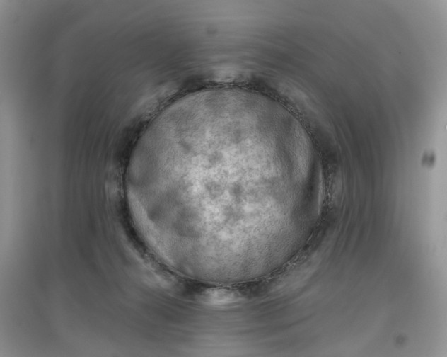 X0000097650272200803142116