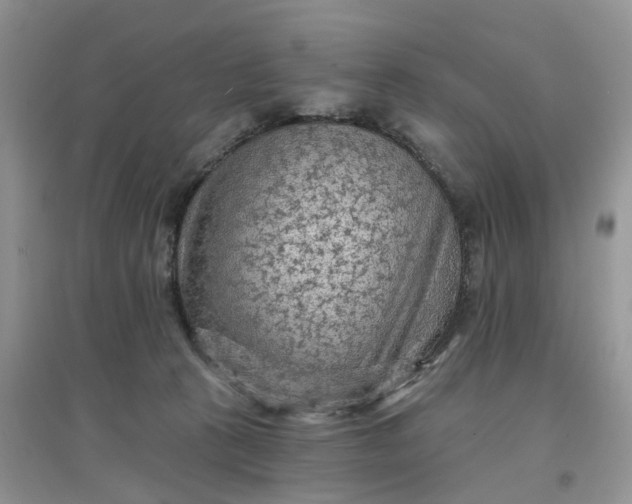 X0000097650273200803142116