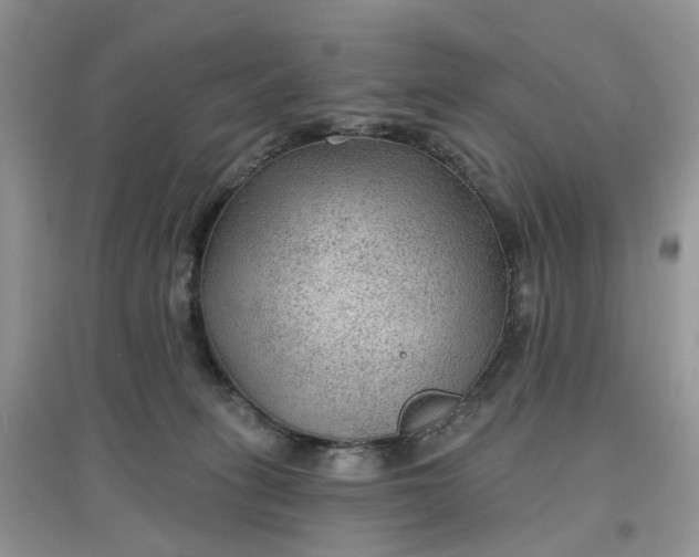 X0000097650275200803142116