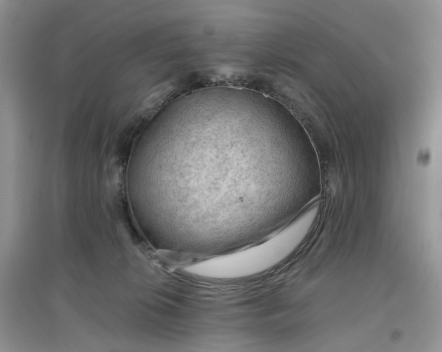 X0000097650276200803142116