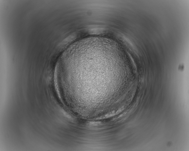 X0000097650277200803142116