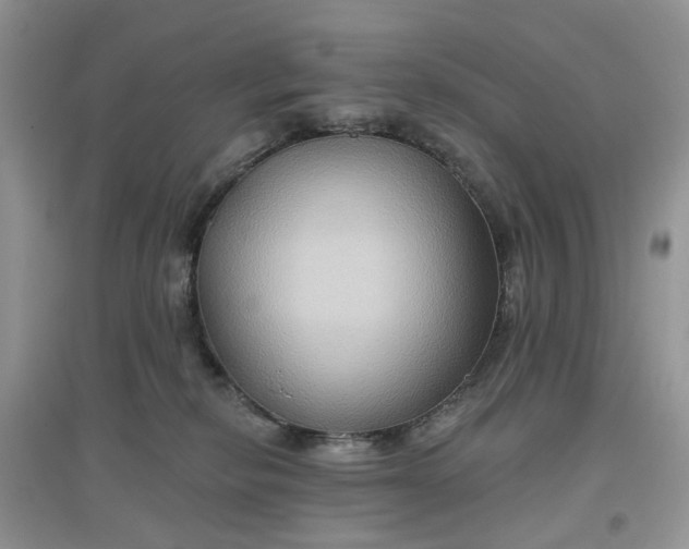 X0000097650278200803142116