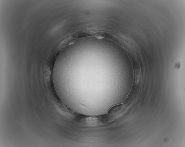 X0000097650279200803142116