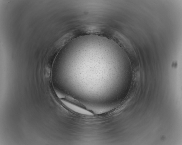 X0000097650281200803142116