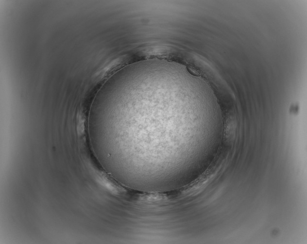 X0000097650282200803142116