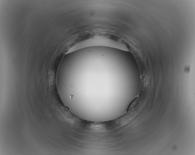 X0000097650283200803142116