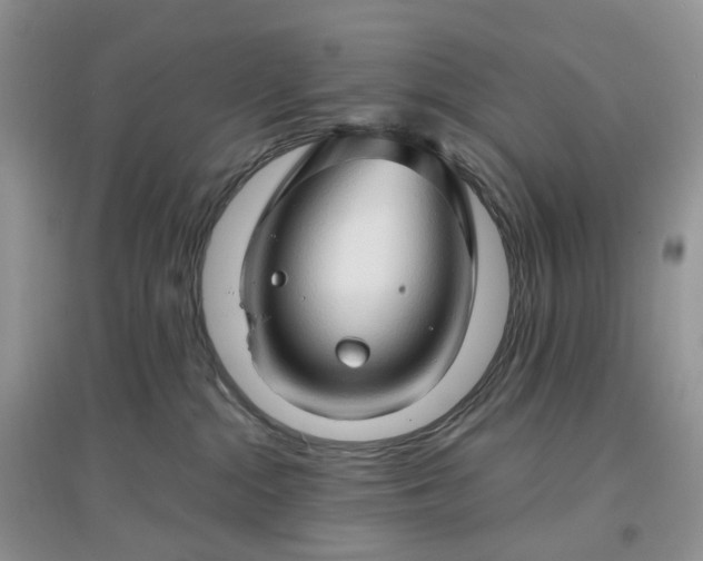 X0000097650284200803142116